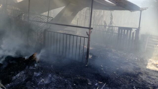 incendio pomezia macchiozza