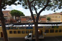 Lutto a Pomezia: morto bimbo di 10 anni