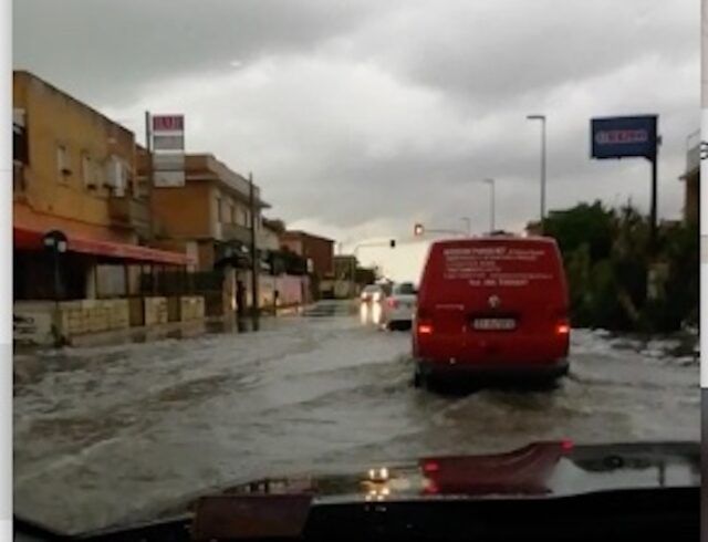 campo ascolano