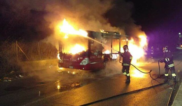 flambus1211 (1)