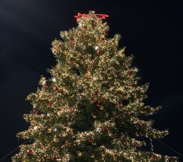 Addobbi Natalizi Roma.Roma Accese Le Luci Di Spelacchio Illuminata Anche Via Del Corso