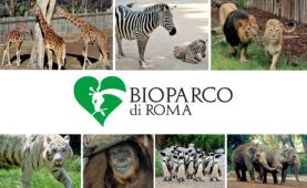 biglietti scontati del 50% al Bioparco per i residenti