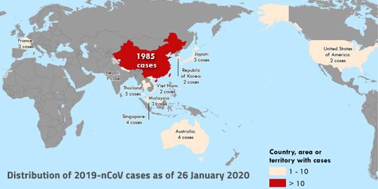 virus cina