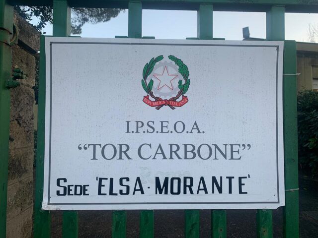 Ipseoa Tor Carbone