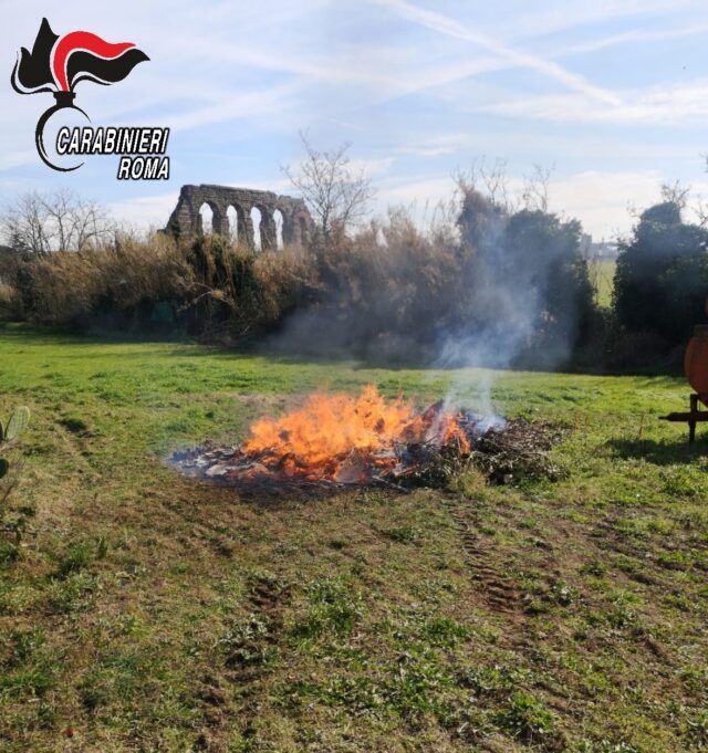 CASILINA - Combustione illecita di rifiuti speciali - 1