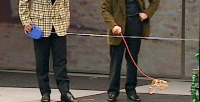 no cane