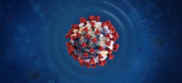 coronavirus