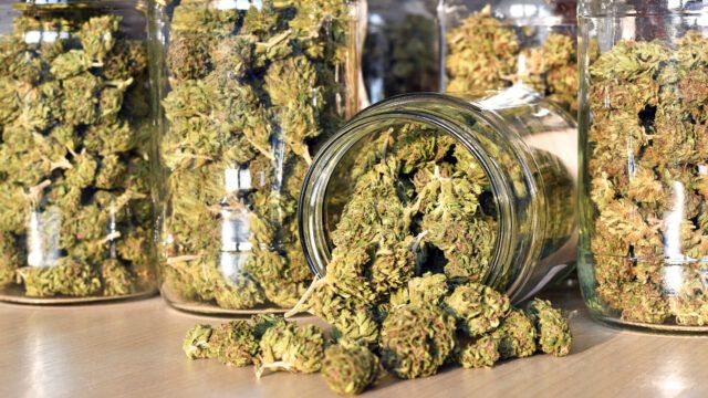 marijuana