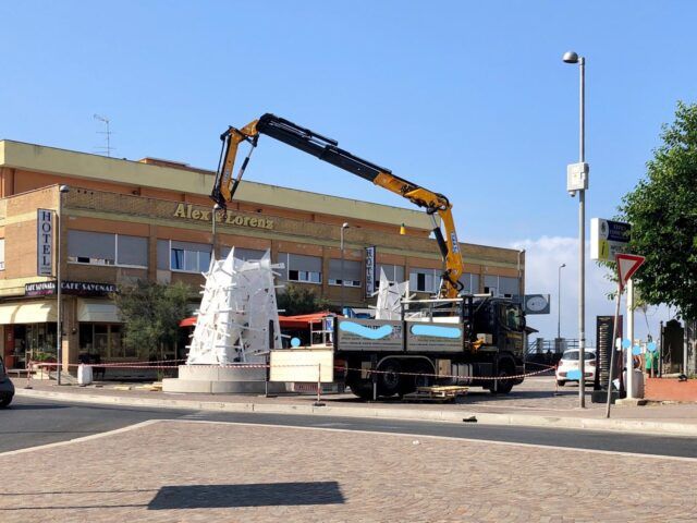 foto albero 2