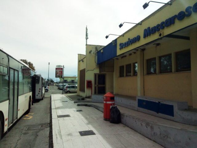 maccarese