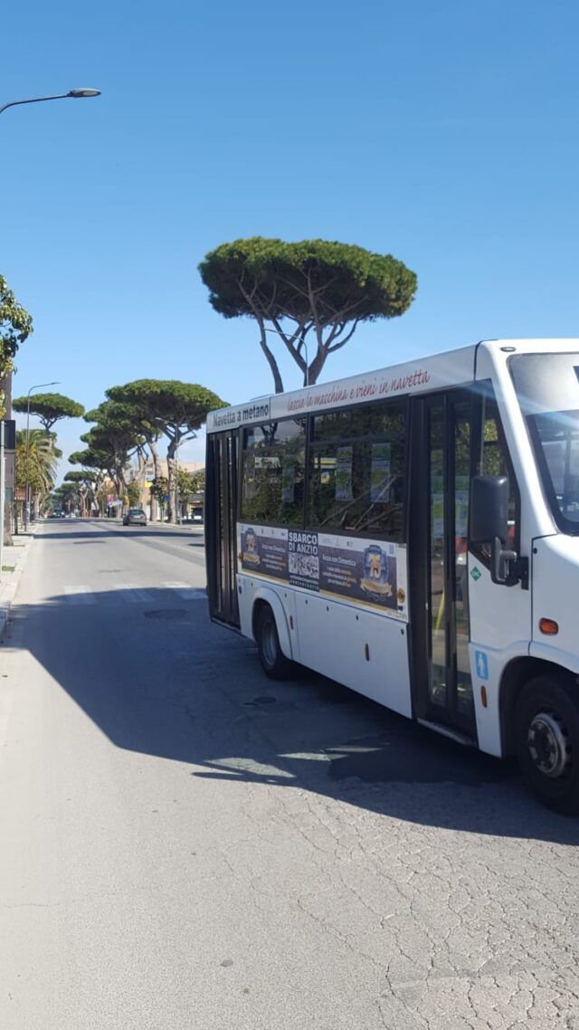 Anzio
