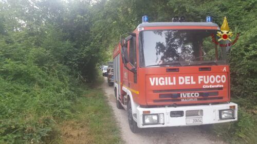 Albero caduto in viale Marco Polo, intervento dei Vigili del Fuoco