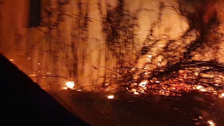 Aprilia, nuovo rogo a pochi metri dalla Loas: a fuoco l’area circostante lo stabilimento (FOTO) Aprilia, nuovo rogo a pochi metri dalla Loas: a fuoco l’area circostante lo stabilimento (FOTO)