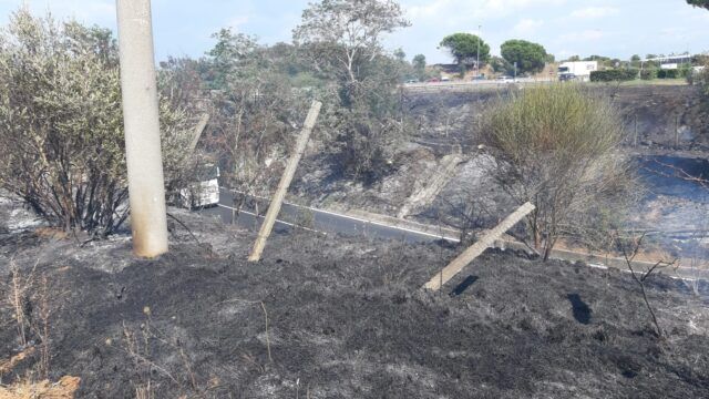 incendio 3