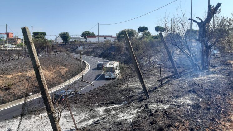 Inferno Pontina: incendio ancora attivo dopo ore, la situazione (FOTO) Inferno Pontina: incendio ancora attivo dopo ore, la situazione (FOTO)