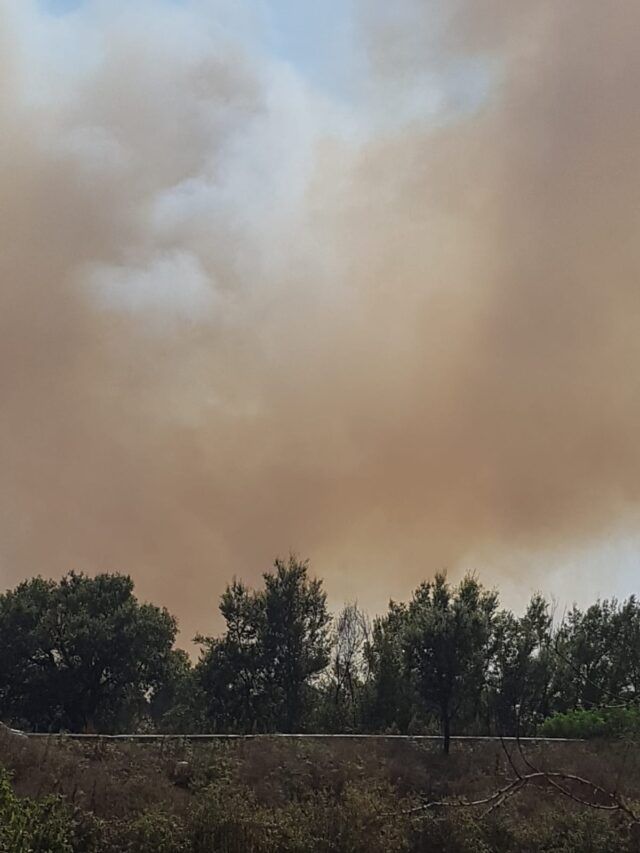 incendio Pratica di Mare