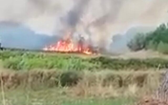 incendio pomezia 1