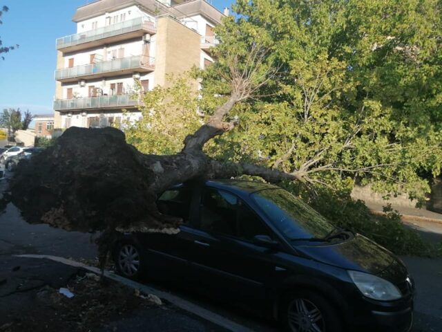 Torrevecchia