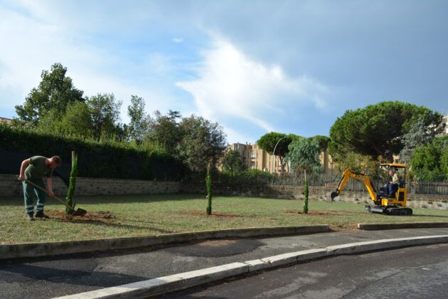Pomezia, gli studenti del Liceo Pascal donano 3 alberi: piantati nell’area verde di via Mazzini Pomezia, gli studenti del Liceo Pascal donano 3 alberi: piantati nell’area verde di via Mazzini