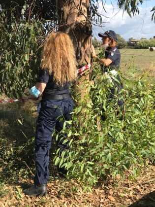 Ardea, sequestrata discarica abusiva: decisive le segnalazioni dei cittadini Ardea, sequestrata discarica abusiva: decisive le segnalazioni dei cittadini