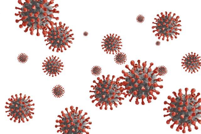 coronavirus Coronavirus Anzio