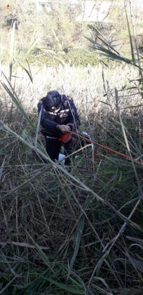 Roma: auto rubate e gettate ai margini del Tevere (FOTO) Roma: auto rubate e gettate ai margini del Tevere (FOTO)