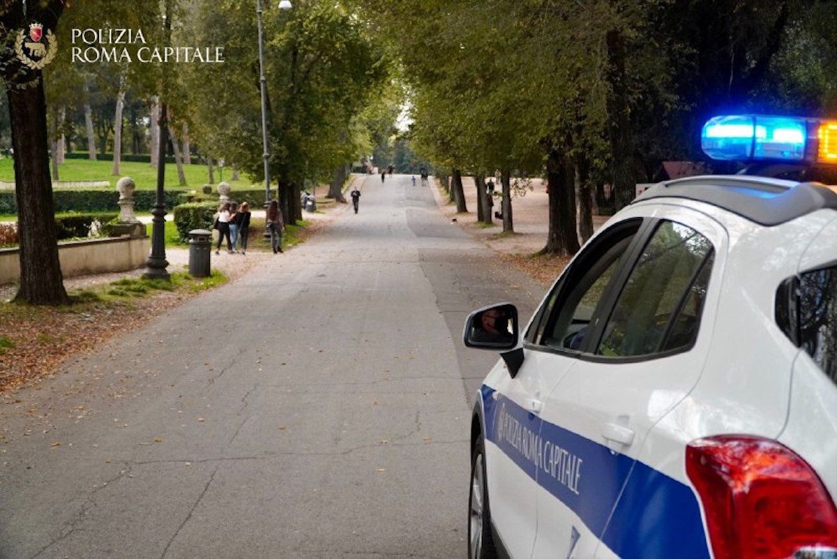 Cane in strada salvato dalla Polizia Locale