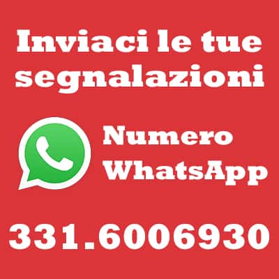 segnalazioni-whatsapp