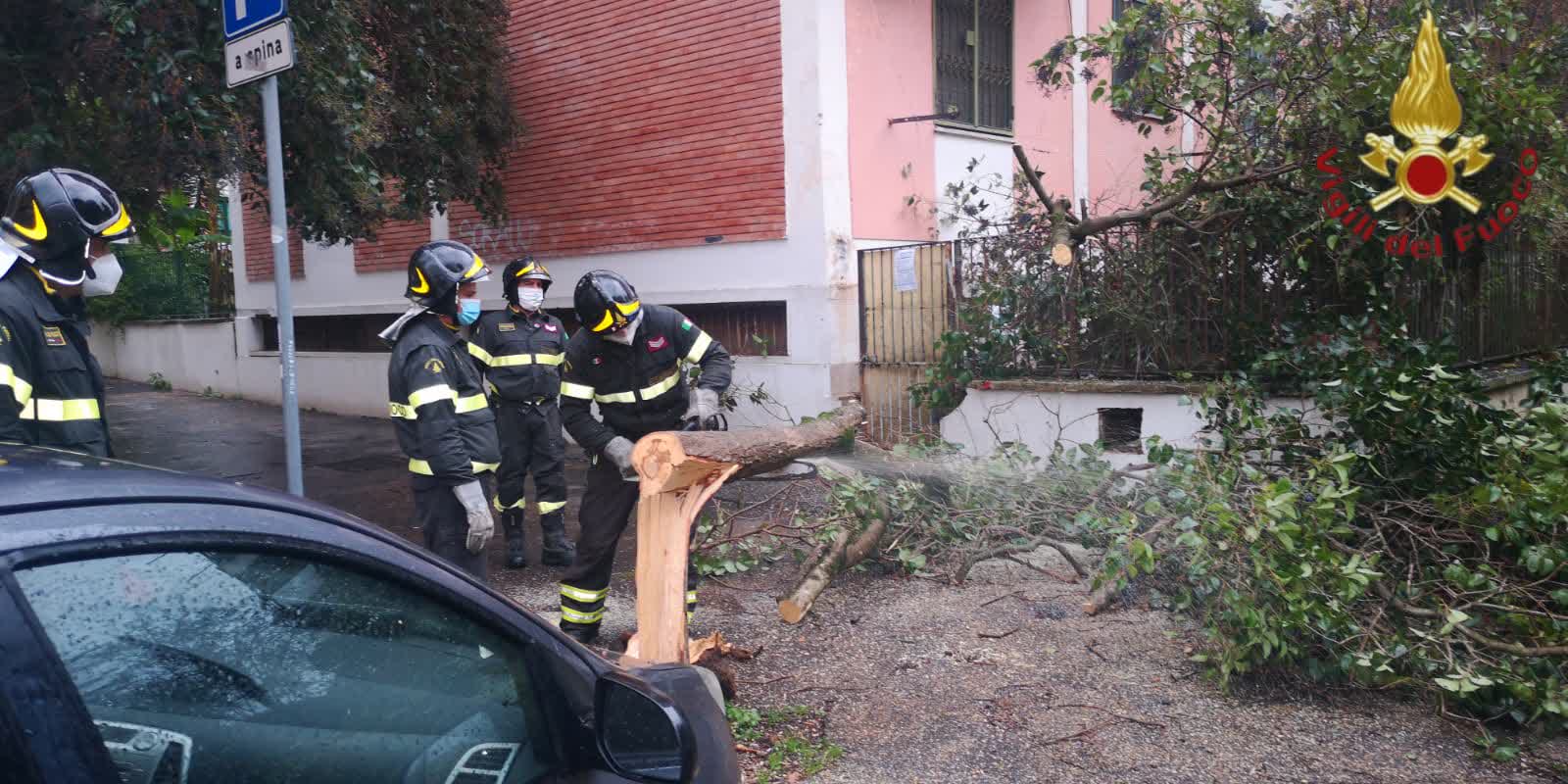 Maltempo A Roma Cadono Alberi E Rami 100 Gli Interventi Dei Vigili Del Fuoco Foto