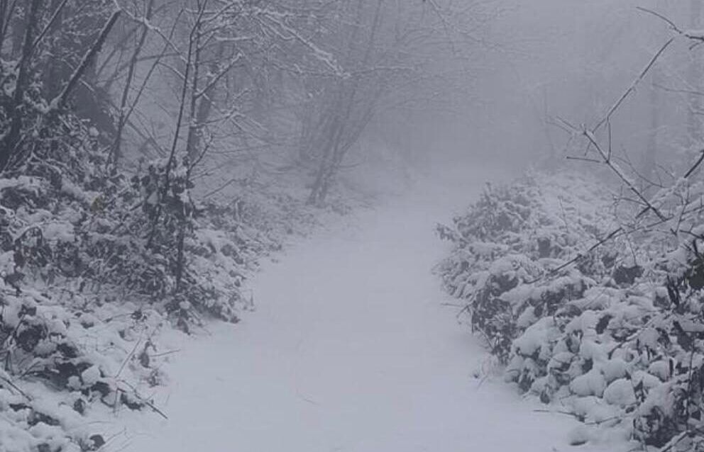 neve a Rocca di Papa