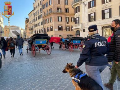 controlli centro