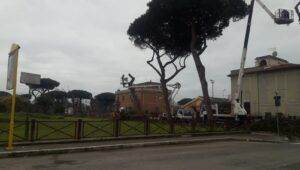 pini ostia antica