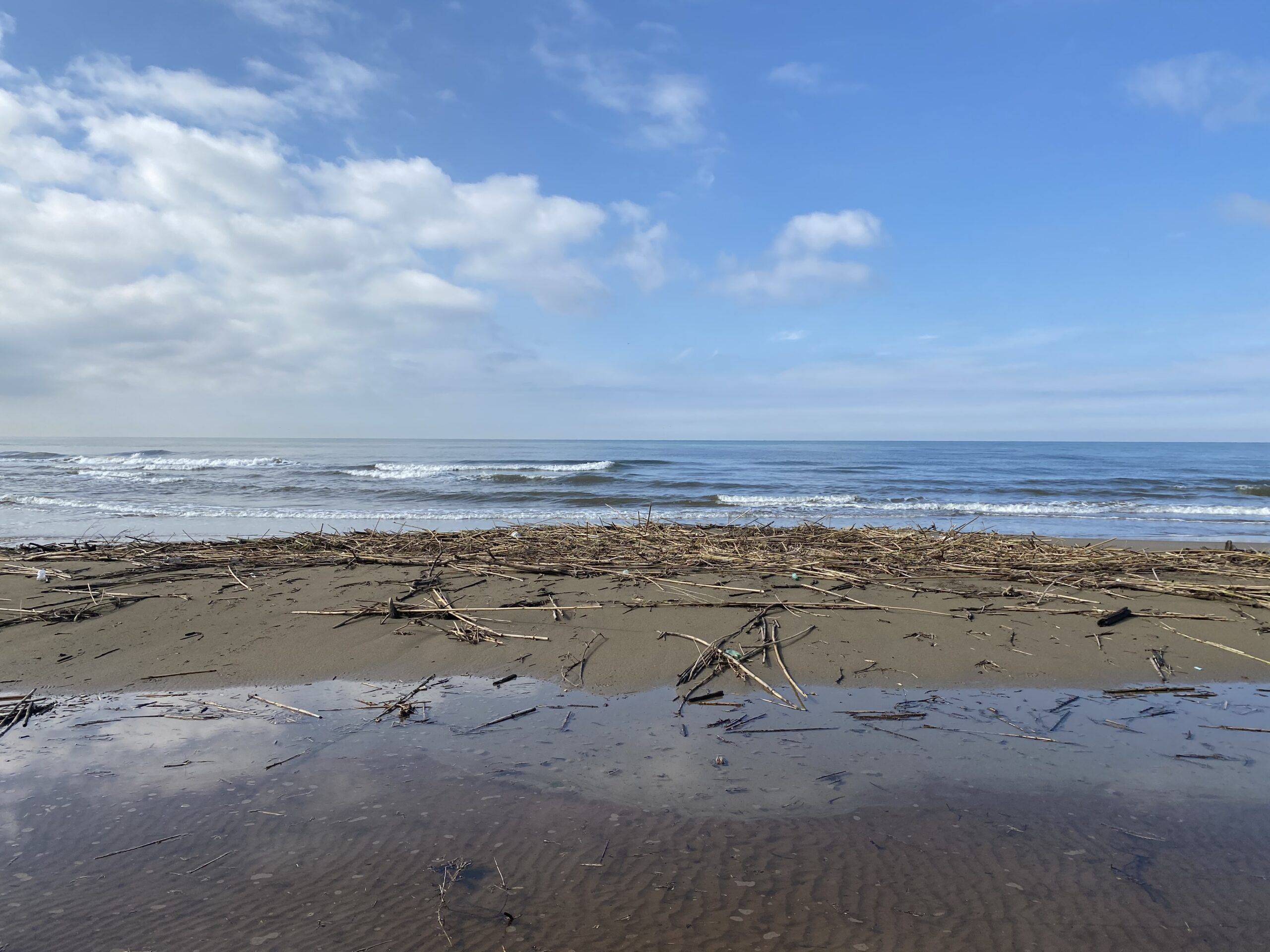 spiagge ardea