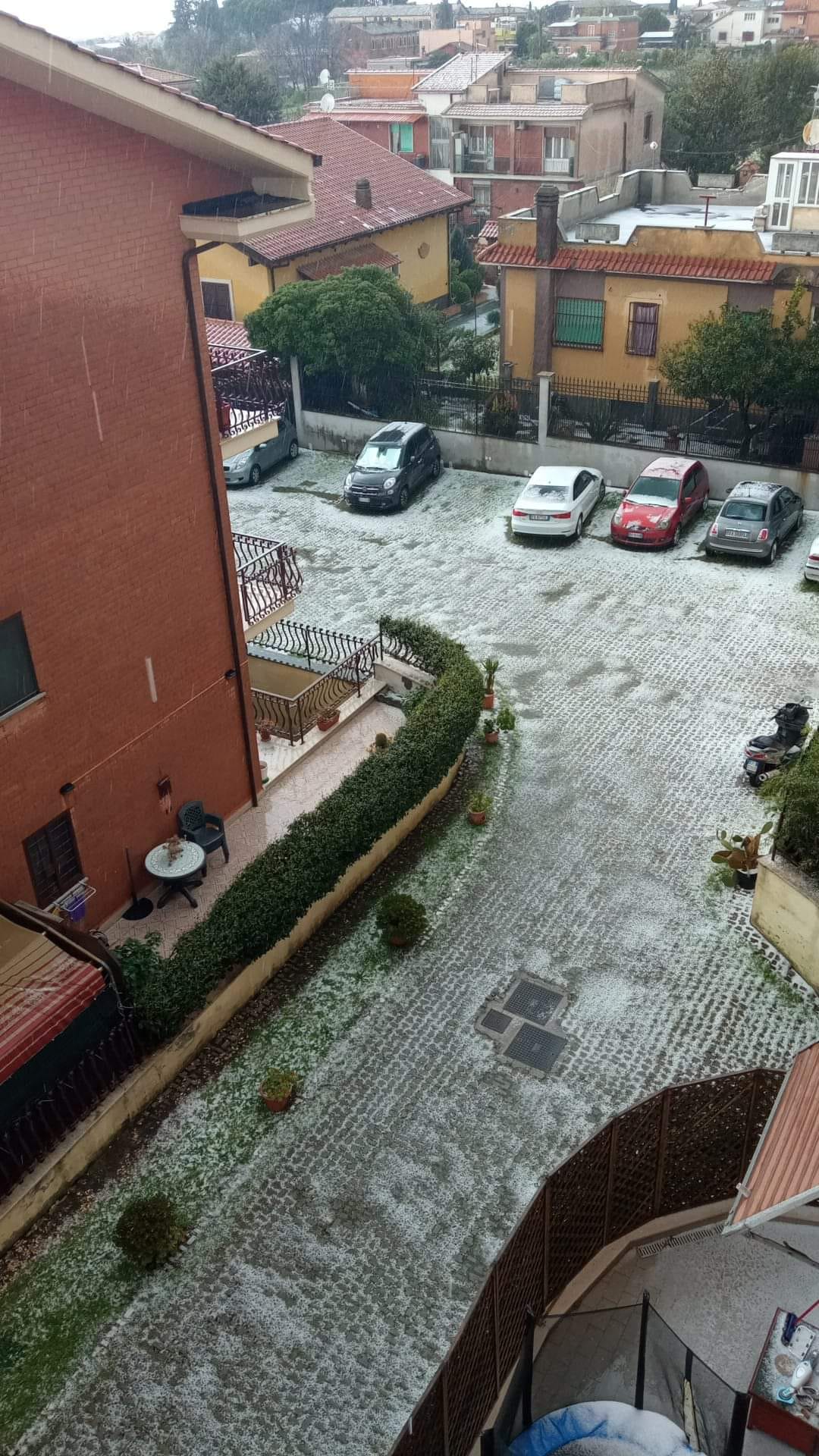 Lazio, maltempo nella Capitale: ai Castelli mix di neve e grandine (FOTO) Lazio, maltempo nella Capitale: ai Castelli mix di neve e grandine (FOTO)