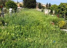 cimitero flaminio roma