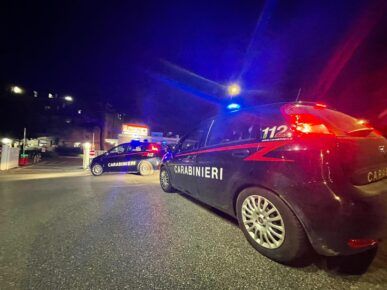 I controlli dei Carabinieri Ardea