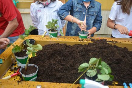 Pomezia bambini scuola orto.jpg6