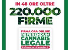 Referendum Cannabis Legale