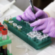 Rischio nuova ondata Omicron