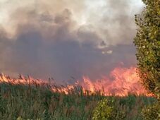 Incendio Ostia