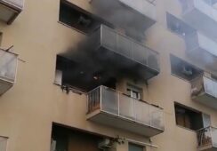 incendio conca d'oro