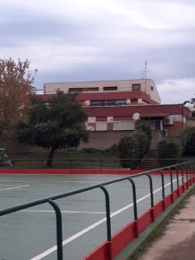 cinghiali a scuola