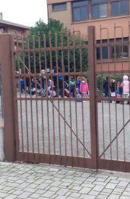 cinghiali a scuola