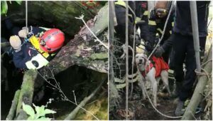 guidonia-cane-salvato-pozzo