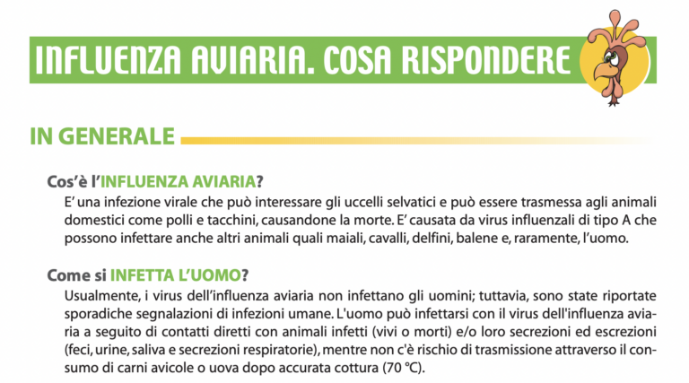 influenza-aviaria-come-evitare-contagio