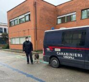 Controlli antidroga nelle scuole: orgoglio e soddisfazione da parte degli istituti