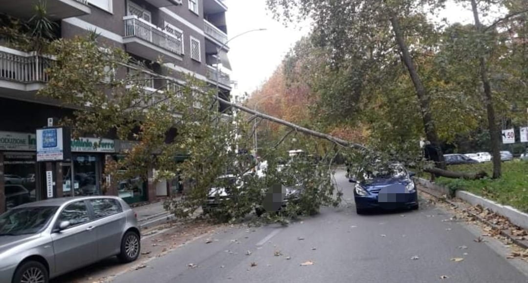 FOTO di reporter montesacro