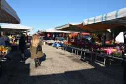 Torvaianica, riorganizzato il mercato del martedì. Il Sindaco: “Banchi più ordinati e strade liberate”