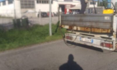 buche ardea