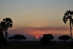 safari in Tanzania